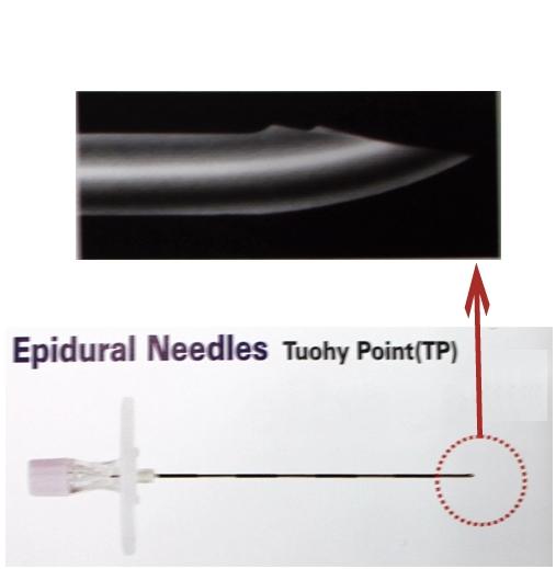 에피듀랄니들/PVC 22G*80mm (Epidural Needle)