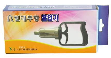 현대부항총