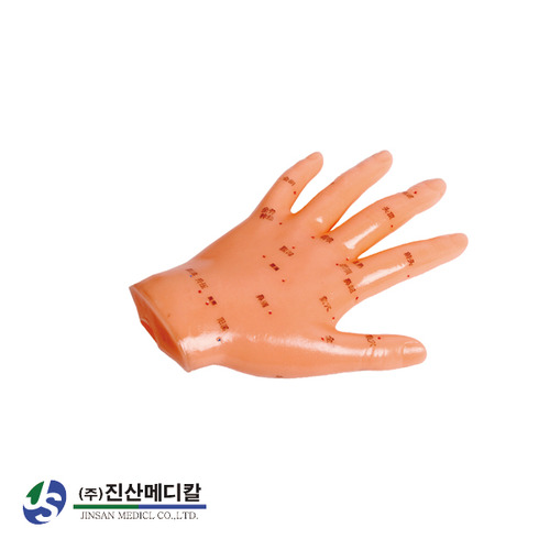 (진산)손경혈모형