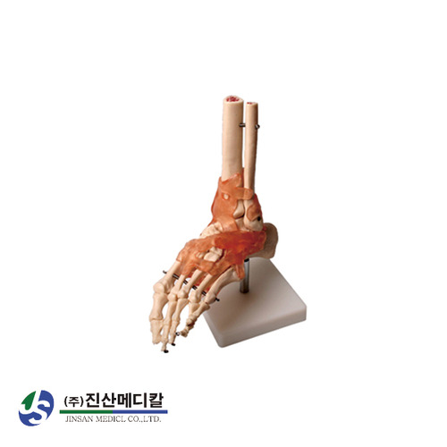 (진산)발인대관절모형